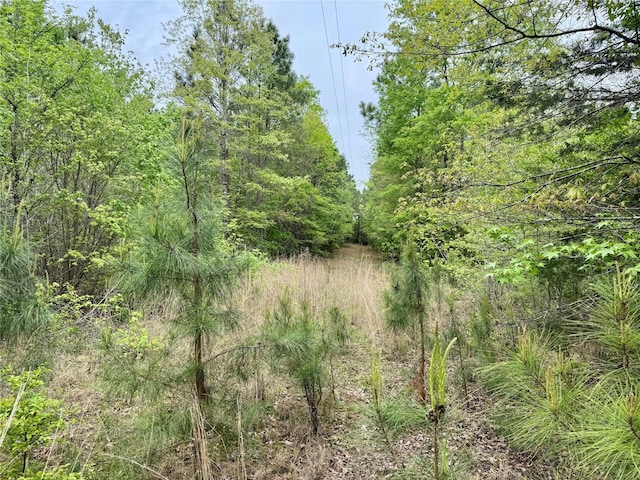 0 County Road 2742, Naples, TX 75568