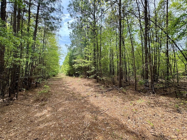 0 County Road 2742, Naples, TX 75568