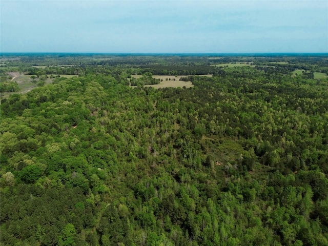 0 County Road 2742, Naples, TX 75568