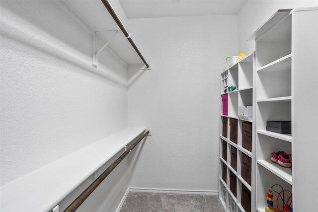 8312 White Hart Dr, Fort Worth, TX 76179 - spacious closet featuring carpet flooring