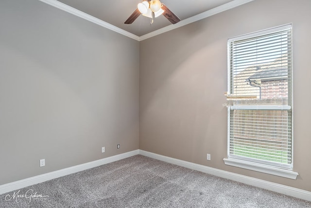 spare room with crown molding, ceiling fan, baseboards, and carpet flooring