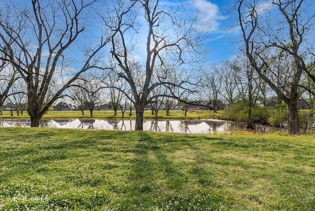view of yard with a water view