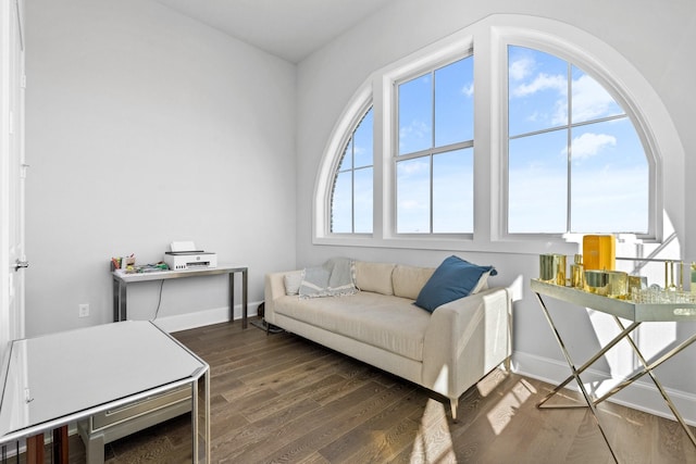 living area featuring baseboards and wood finished floors