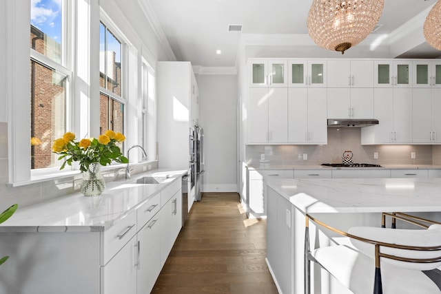 kitchen featuring crown molding, dark wood-type flooring, visible vents, under cabinet range hood, and a sink