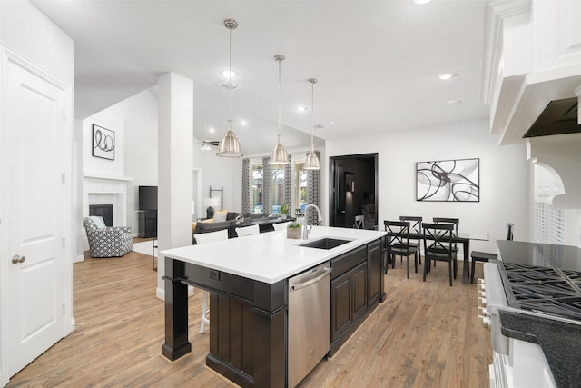 1128 Ellicott Dr, Celina, TX 75009 - kitchen with dishwasher, a sink, a fireplace, light wood-type flooring, and pendant lighting