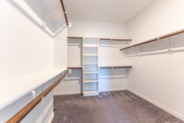 spacious closet with dark carpet