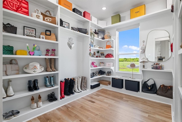 mudroom with wood finished floors and a wealth of natural light