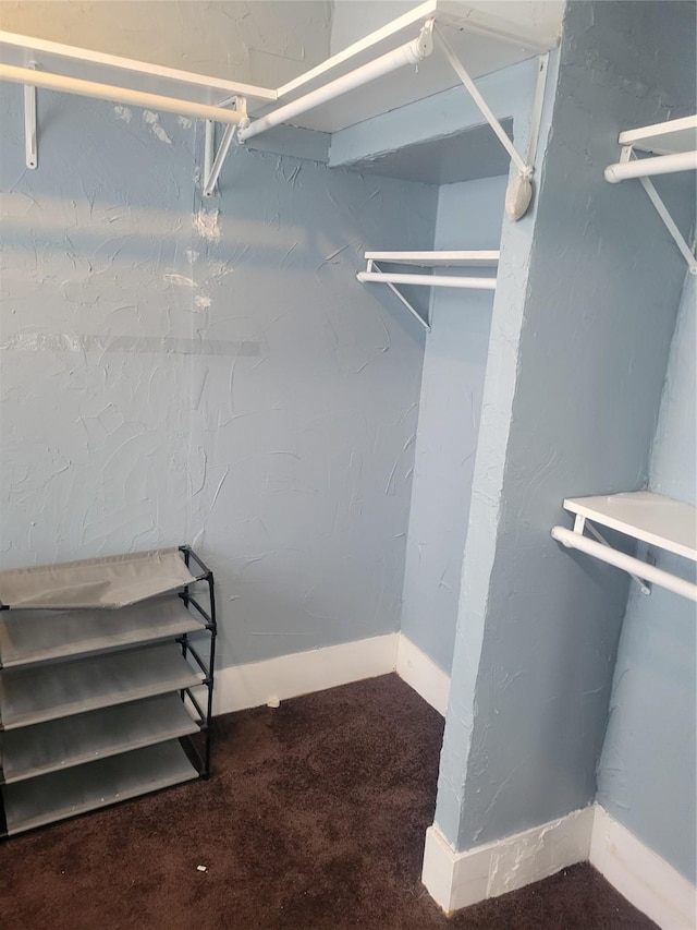 409 Forest Ave, Shreveport, LA 71104 - walk in closet with carpet