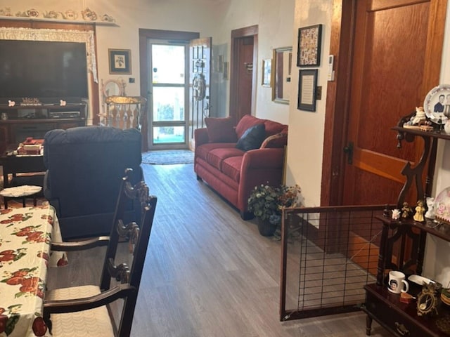 living area featuring wood finished floors