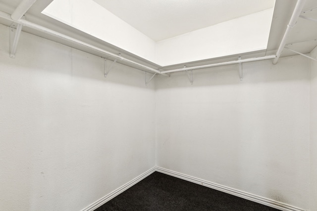 view of walk in closet