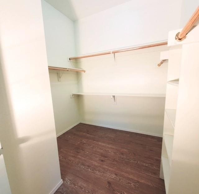 518 Lonestar Park Ln, Ponder, TX 76259 - walk in closet with dark wood finished floors