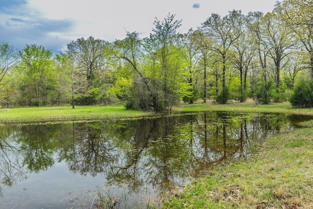 property view of water with a forest view