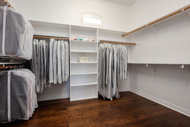 walk in closet with wood-type flooring