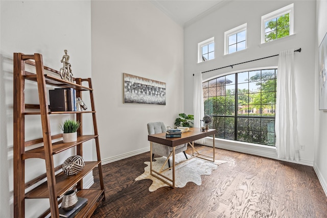 4504 Oxbow Dr, Mckinney, TX 75072 - office space with crown molding, baseboards, wood finished floors, and a towering ceiling