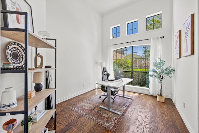 4504 Oxbow Dr, Mckinney, TX 75072 - office area featuring wood finished floors, ornamental molding, baseboards, and a high ceiling