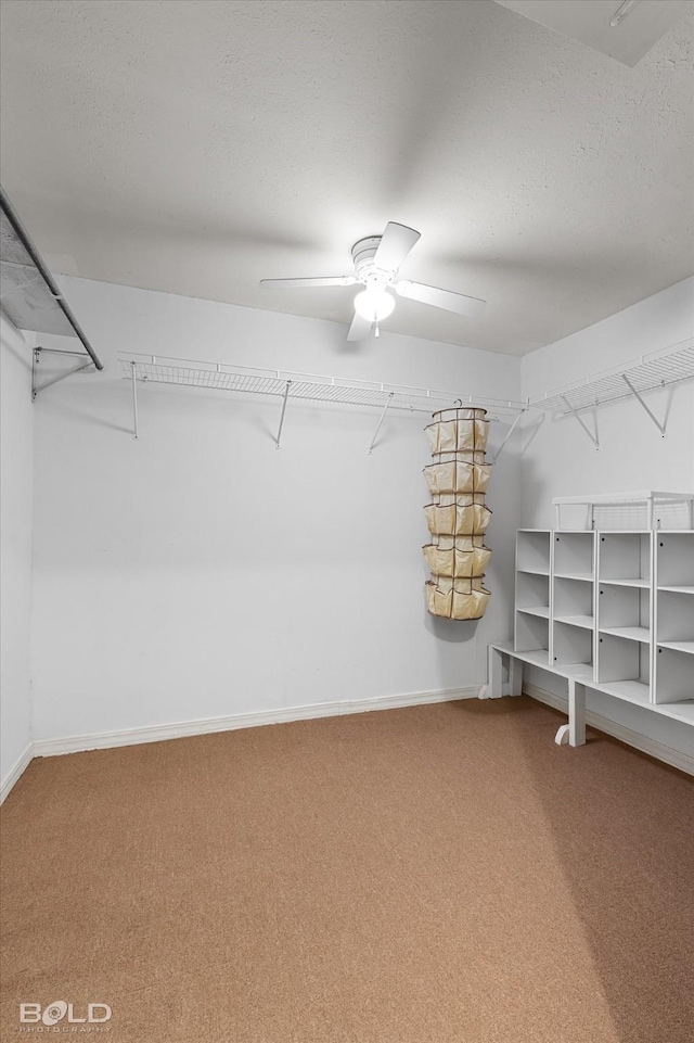 6307 Bocage Dr, Shreveport, LA 71119 - spacious closet with ceiling fan and carpet floors