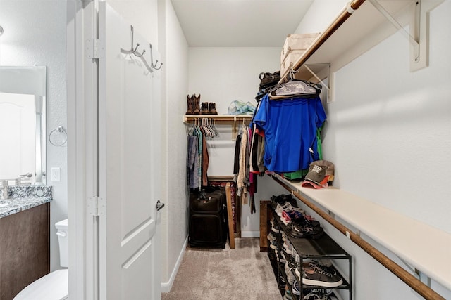 walk in closet with light colored carpet