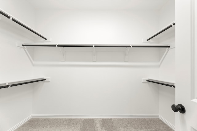 1905 Bobbin Ml, Forney, TX 75126 - spacious closet with carpet flooring