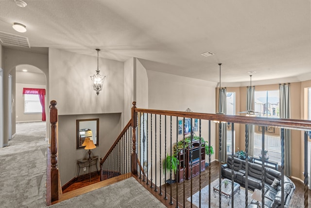 1321 Spanish Needle Trl, Fort Worth, TX 76177 - hallway featuring arched walkways, carpet flooring, visible vents, and baseboards