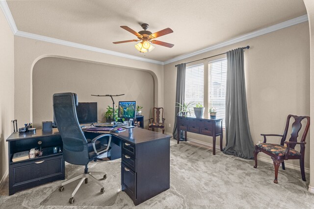 1321 Spanish Needle Trl, Fort Worth, TX 76177 - office with light carpet, arched walkways, baseboards, and crown molding