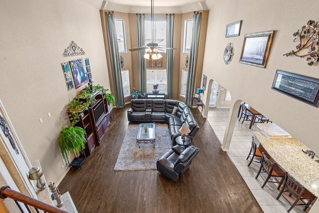 1321 Spanish Needle Trl, Fort Worth, TX 76177 - living room featuring a wealth of natural light, wood finished floors, arched walkways, and baseboards