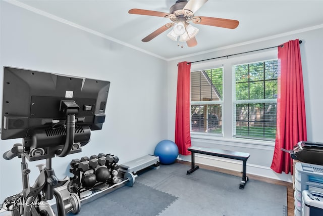exercise area with baseboards, crown molding, and a ceiling fan