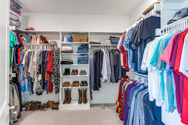 2313 Sandlin Dr, Fort Worth, TX 76008 - walk in closet featuring carpet flooring