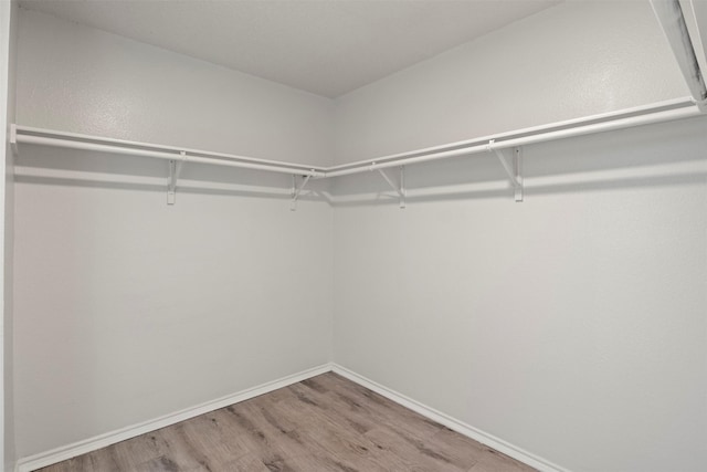 walk in closet with wood finished floors