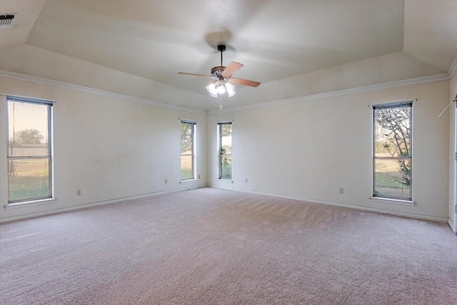 275 Salesville Rd, Mineral Wells, TX 76067 - spare room with plenty of natural light, a tray ceiling, and carpet