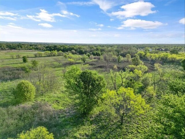 275 Salesville Rd, Mineral Wells, TX 76067 - bird's eye view