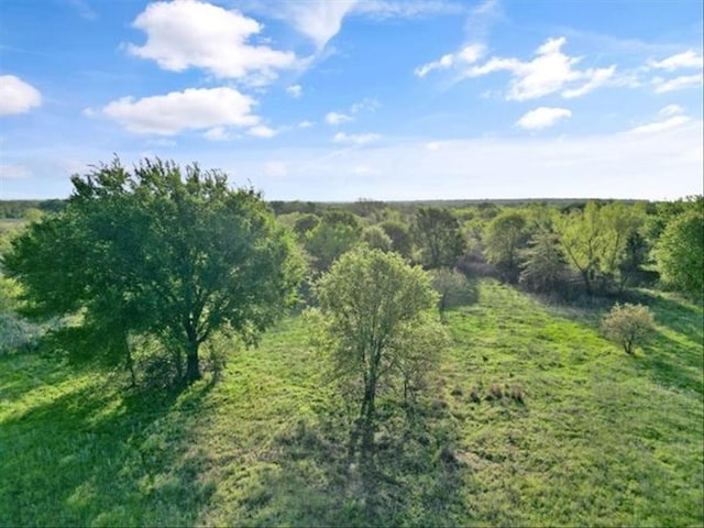 275 Salesville Rd, Mineral Wells, TX 76067 - view of nature with a view of trees