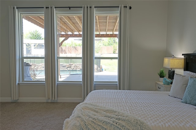 645 Summer Grove Dr, Midlothian, TX 76065 - carpeted bedroom with multiple windows and baseboards