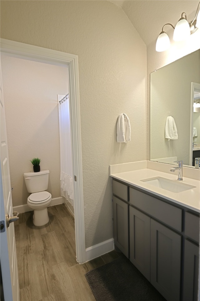 645 Summer Grove Dr, Midlothian, TX 76065 - full bath featuring toilet, wood finished floors, vanity, a shower with curtain, and a textured wall