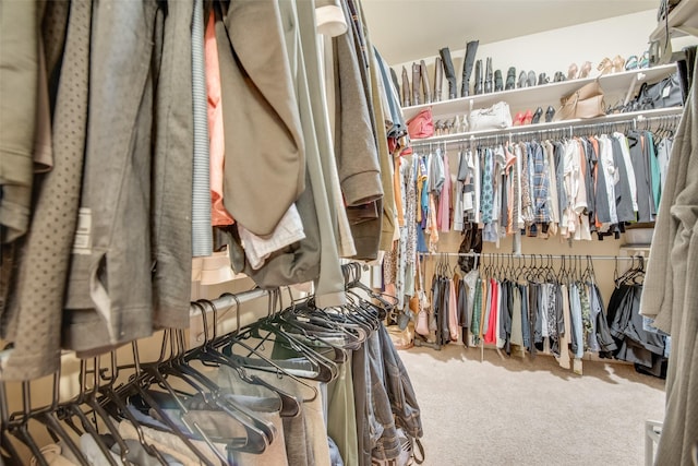 spacious closet featuring carpet