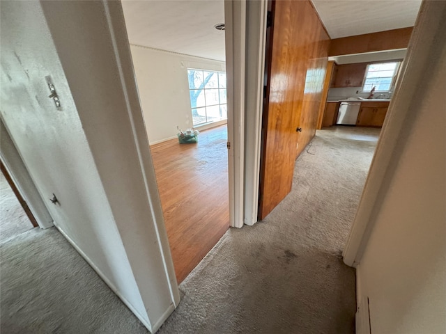 1905 Province Ln, Dallas, TX 75228 - hall with light carpet, baseboards, and plenty of natural light