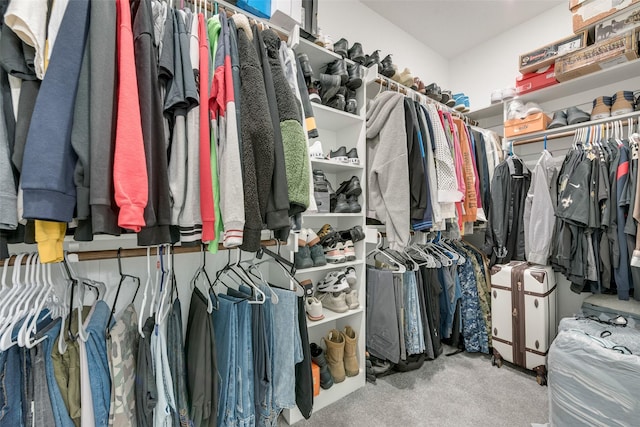 walk in closet with carpet flooring