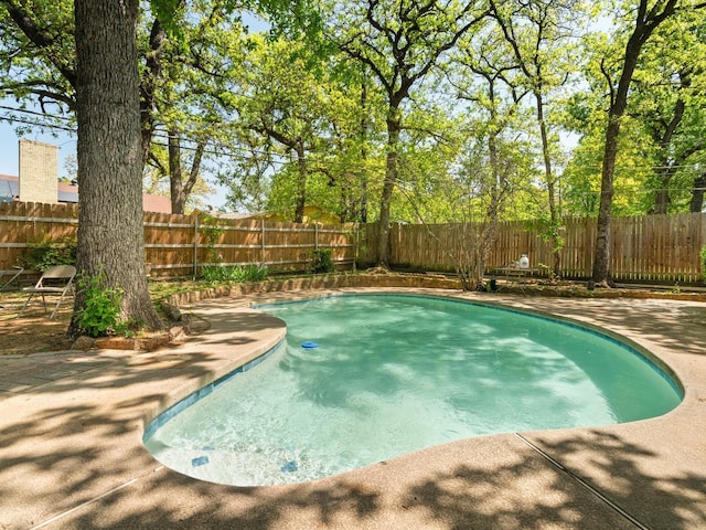 view of pool with a fenced in pool, a fenced backyard, and a patio area
