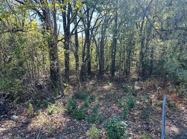 N/a Acres Loop, Gun Barrel City, TX 75156