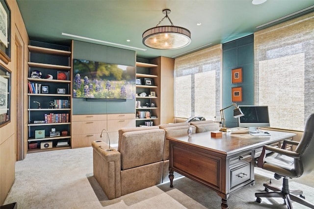 office with built in features and carpet floors