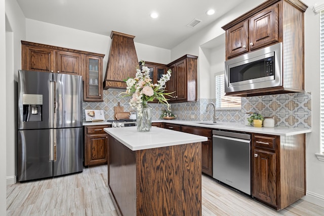 1208 Claire St, Lantana, TX 76226 - kitchen with appliances with stainless steel finishes, custom exhaust hood, light wood-style floors, a sink, and light countertops