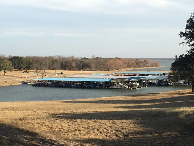 31046 Doe Run Ct, Whitney, TX 76692