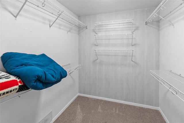 9518 County Road 913, Godley, TX 76044 - spacious closet featuring visible vents and carpet flooring