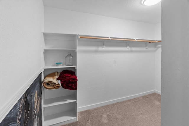 9518 County Road 913, Godley, TX 76044 - walk in closet with carpet floors