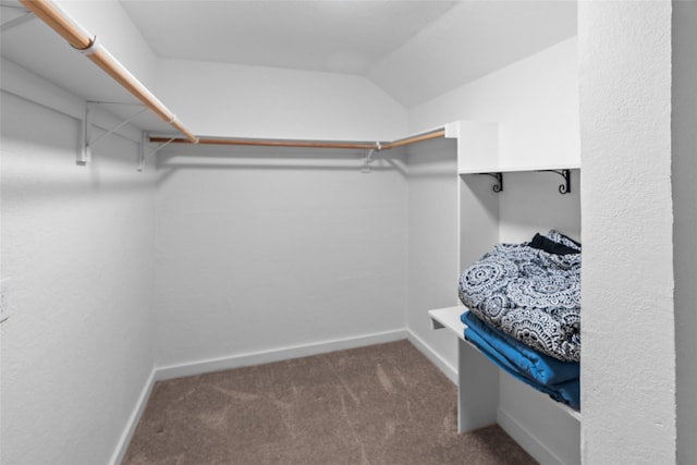 9518 County Road 913, Godley, TX 76044 - walk in closet with carpet and vaulted ceiling