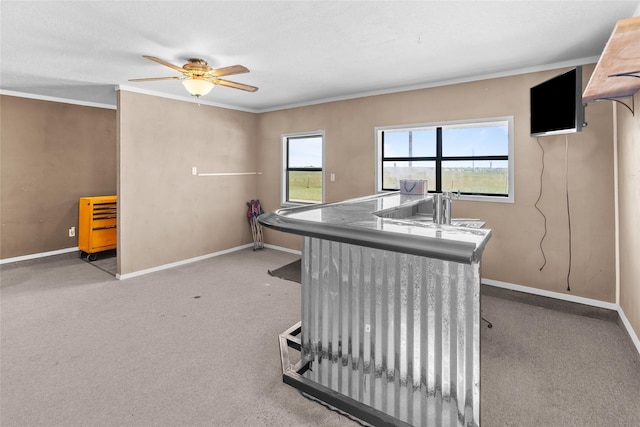 9518 County Road 913, Godley, TX 76044 - carpeted office space featuring ceiling fan, baseboards, and ornamental molding