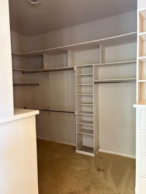 1417 Wyndmere Dr, Desoto, TX 75115 - view of spacious closet