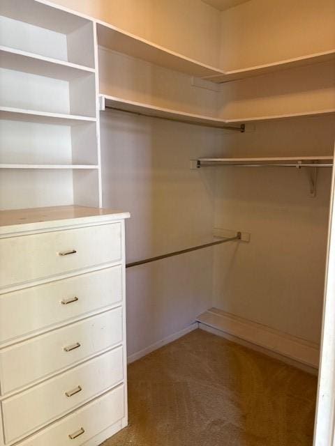 1417 Wyndmere Dr, Desoto, TX 75115 - walk in closet featuring carpet