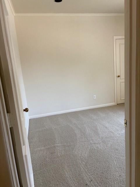 1417 Wyndmere Dr, Desoto, TX 75115 - unfurnished room with carpet, baseboards, and ornamental molding