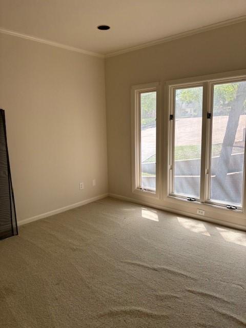 1417 Wyndmere Dr, Desoto, TX 75115 - carpeted spare room featuring baseboards and ornamental molding