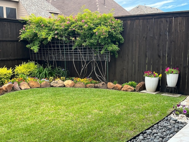 2018 Barley Place Dr, Allen, TX 75013 - view of yard